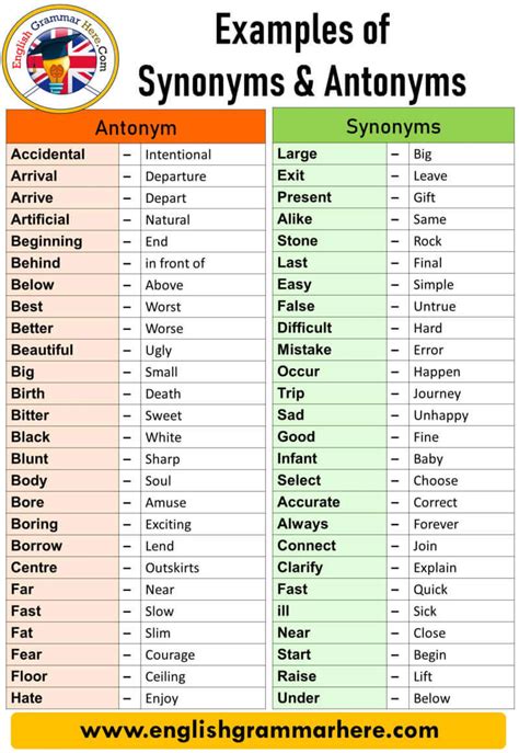 Synonyms and Antonyms of Words 